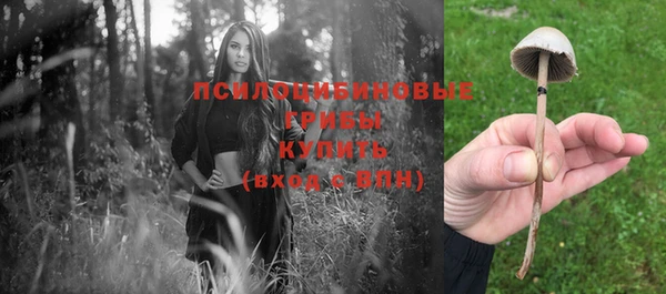 амфетамин Бородино